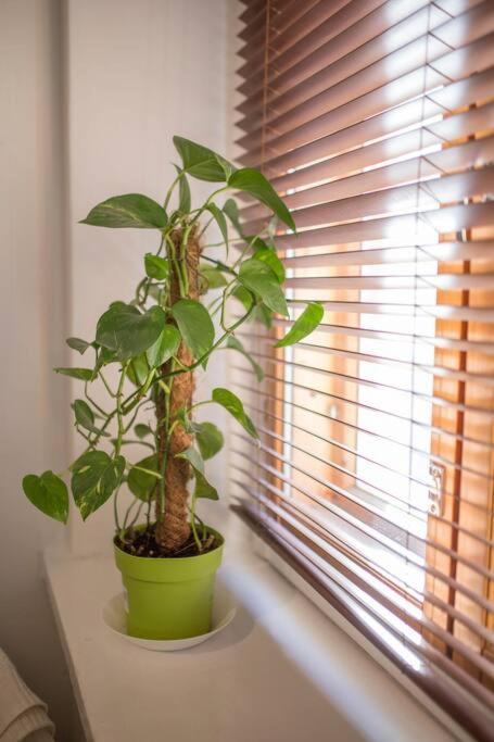 A Lovely Apartment Near Railway Station And Arena. Τάμπερε Εξωτερικό φωτογραφία