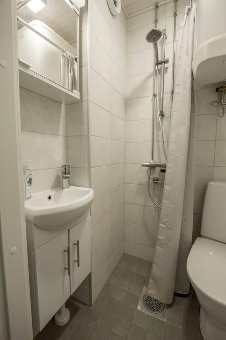 A Lovely Apartment Near Railway Station And Arena. Τάμπερε Εξωτερικό φωτογραφία